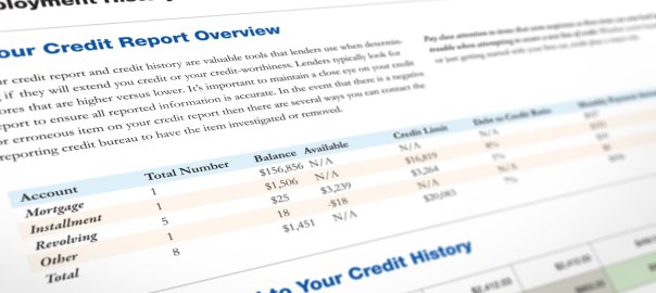 Credit Checks in Employment Screening